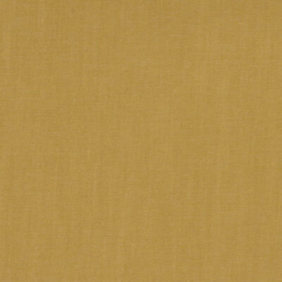 Chambray Lentil